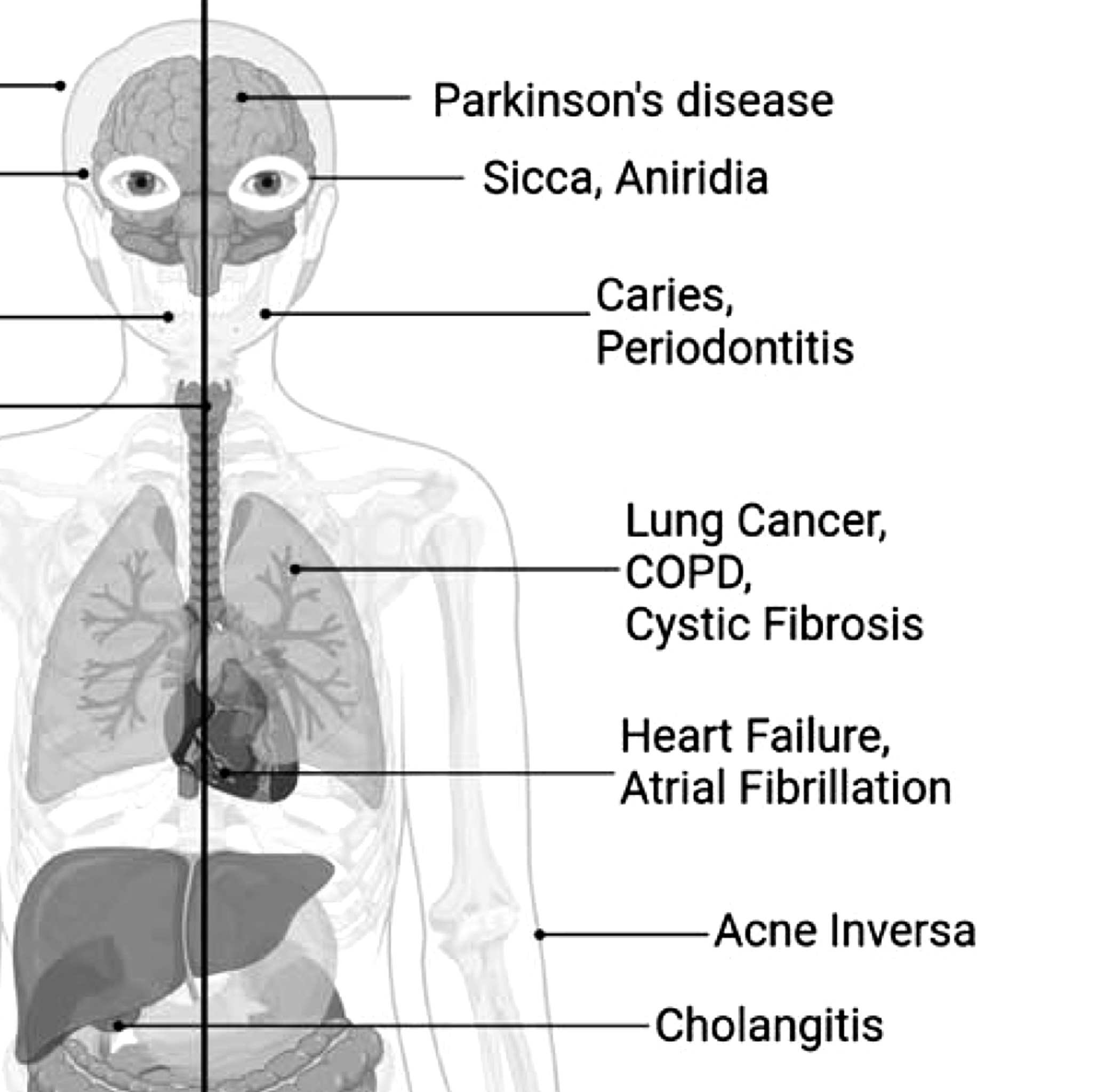 Nature Communications